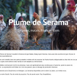 Elevage des Petites Plumes